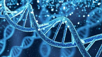 Molecular section